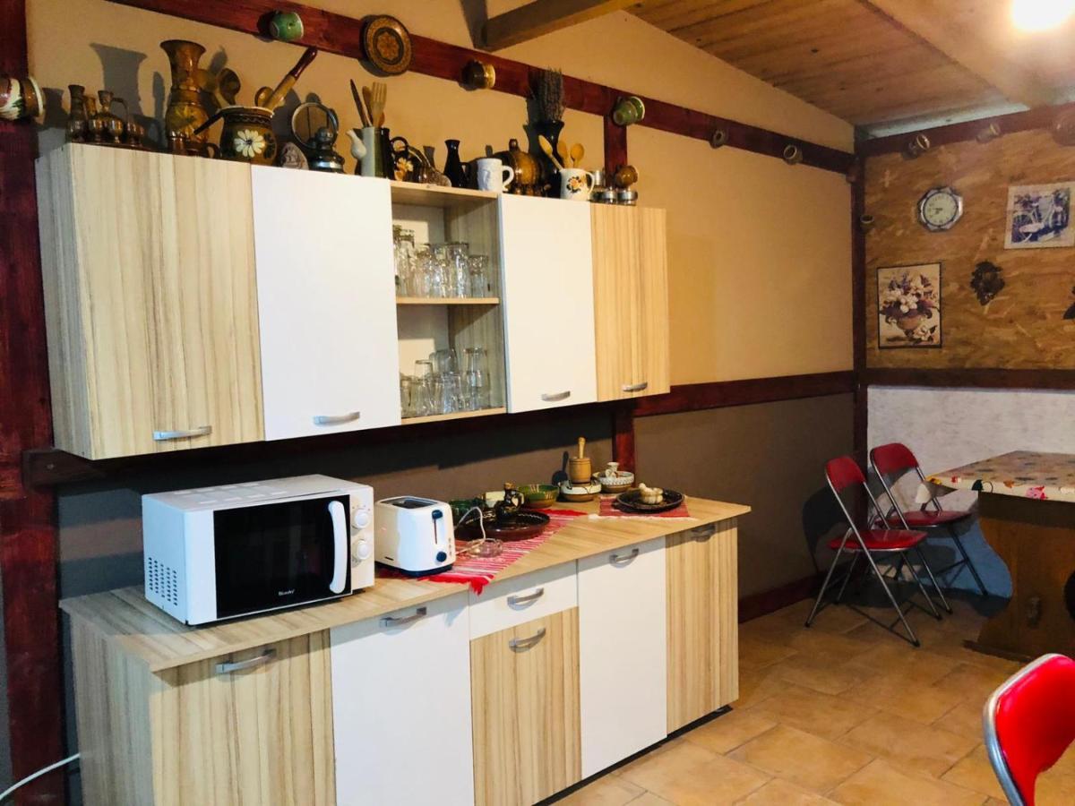 מלון קוסטינסטי Casa Andrei מראה חיצוני תמונה