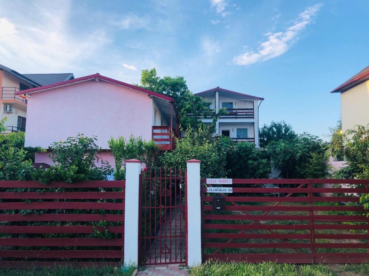מלון קוסטינסטי Casa Andrei מראה חיצוני תמונה