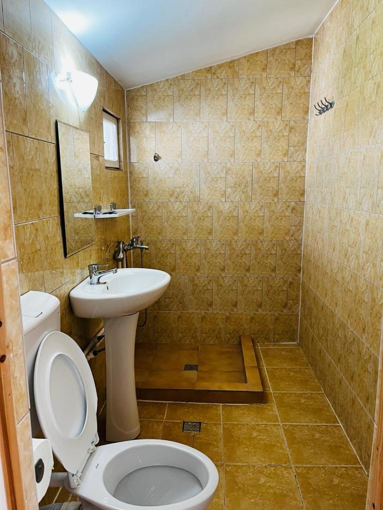 מלון קוסטינסטי Casa Andrei מראה חיצוני תמונה